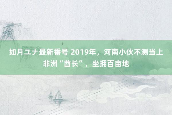 如月ユナ最新番号 2019年，河南小伙不测当上非洲“酋长”，坐拥百亩地