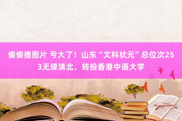 偷偷撸图片 亏大了！山东“文科状元”总位次253无缘清北，转投香港中语大学