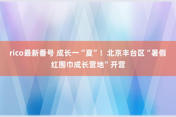 rico最新番号 成长一“夏”！北京丰台区“暑假红围巾成长营地”开营