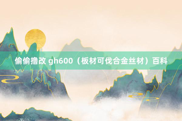 偷偷撸改 gh600（板材可伐合金丝材）百科