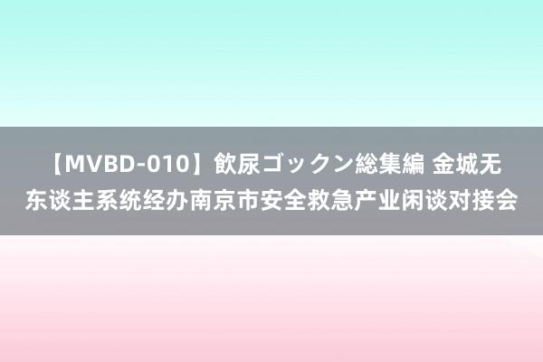 【MVBD-010】飲尿ゴックン総集編 金城无东谈主系统经办南京市安全救急产业闲谈对接会