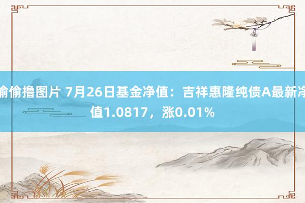 偷偷撸图片 7月26日基金净值：吉祥惠隆纯债A最新净值1.0817，涨0.01%