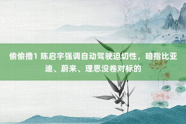 偷偷撸1 陈启宇强调自动驾驶迫切性，暗指比亚迪、蔚来、理思没卷对标的