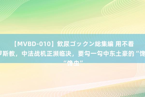 【MVBD-010】飲尿ゴックン総集編 用不着俄罗斯教，中法战机正濒临决，要勾一勾中东土豪的“馋虫”