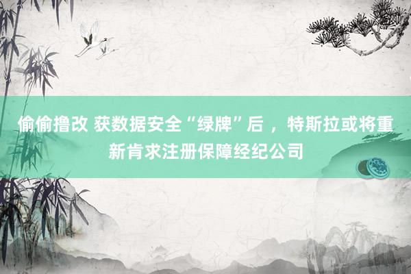 偷偷撸改 获数据安全“绿牌”后 ，特斯拉或将重新肯求注册保障经纪公司