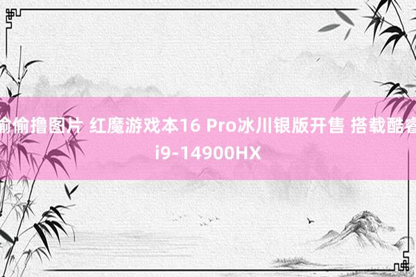 偷偷撸图片 红魔游戏本16 Pro冰川银版开售 搭载酷睿i9-14900HX