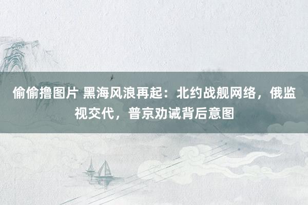 偷偷撸图片 黑海风浪再起：北约战舰网络，俄监视交代，普京劝诫背后意图