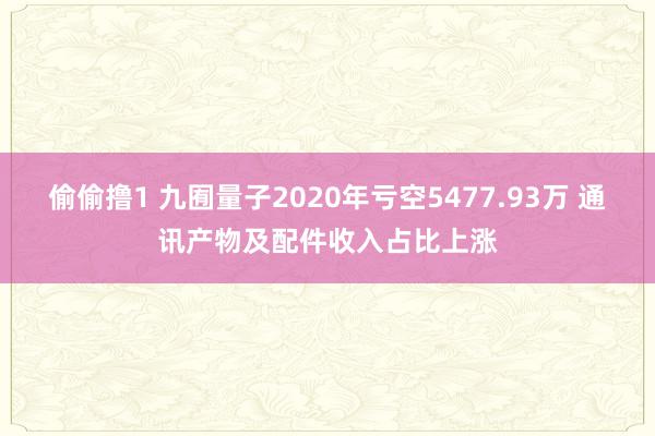 偷偷撸1 九囿量子2020年亏空5477.93万 通讯产物及配件收入占比上涨