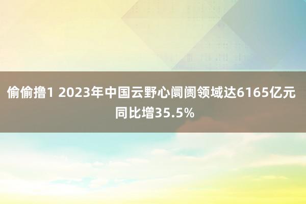 偷偷撸1 2023年中国云野心阛阓领域达6165亿元  同比增35.5%