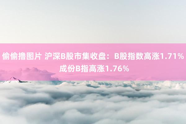 偷偷撸图片 沪深B股市集收盘：B股指数高涨1.71% 成份B指高涨1.76%