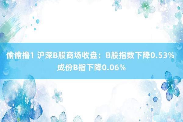 偷偷撸1 沪深B股商场收盘：B股指数下降0.53% 成份B指下降0.06%