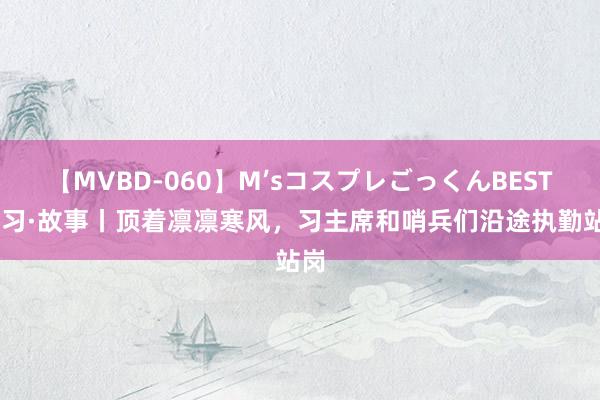 【MVBD-060】M’sコスプレごっくんBEST 学习·故事丨顶着凛凛寒风，习主席和哨兵们沿途执勤站岗