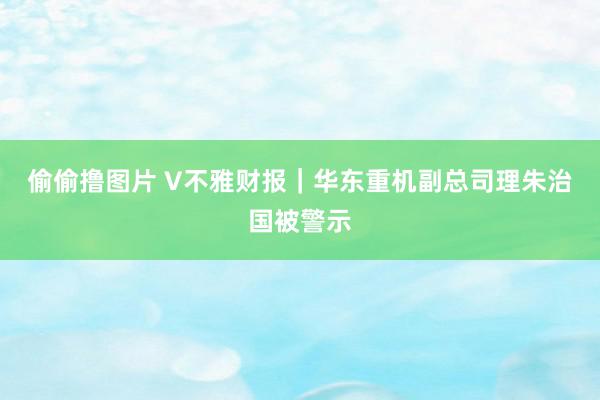 偷偷撸图片 V不雅财报｜华东重机副总司理朱治国被警示