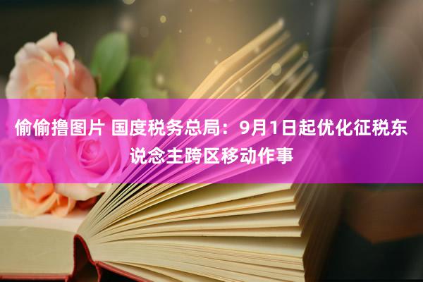 偷偷撸图片 国度税务总局：9月1日起优化征税东说念主跨区移动作事