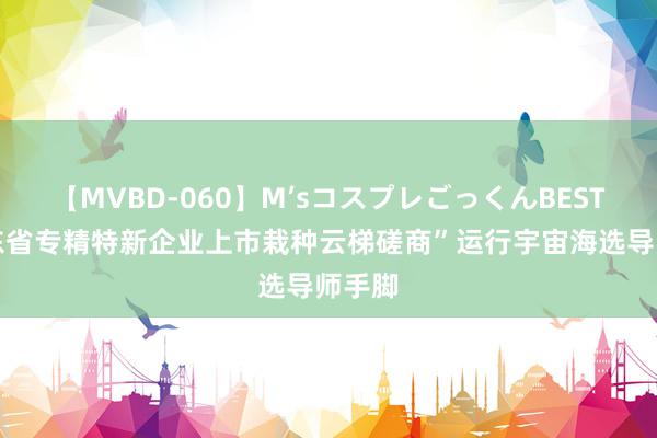 【MVBD-060】M’sコスプレごっくんBEST “山东省专精特新企业上市栽种云梯磋商”运行宇宙海选导师手脚