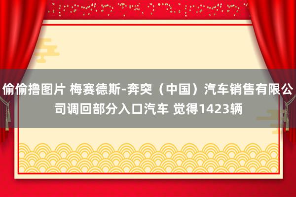 偷偷撸图片 梅赛德斯-奔突（中国）汽车销售有限公司调回部分入口汽车 觉得1423辆