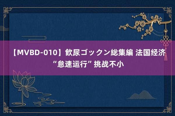 【MVBD-010】飲尿ゴックン総集編 法国经济“怠速运行”挑战不小