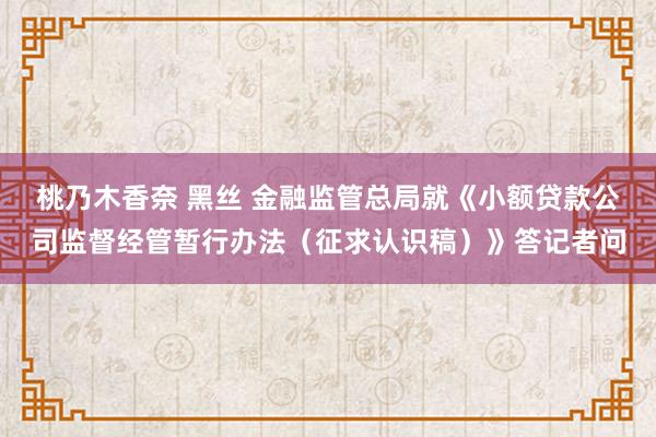 桃乃木香奈 黑丝 金融监管总局就《小额贷款公司监督经管暂行办法（征求认识稿）》答记者问