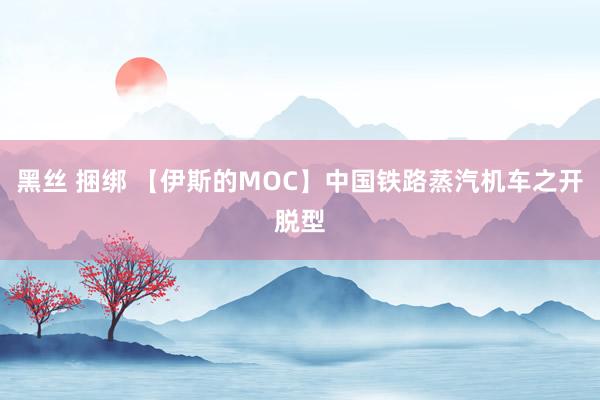 黑丝 捆绑 【伊斯的MOC】中国铁路蒸汽机车之开脱型