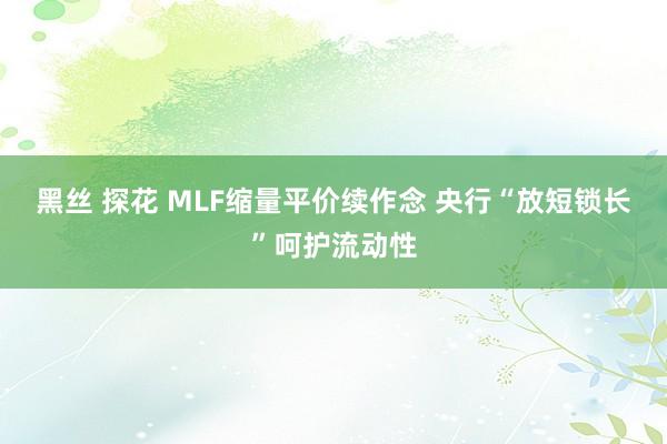 黑丝 探花 MLF缩量平价续作念 央行“放短锁长”呵护流动性