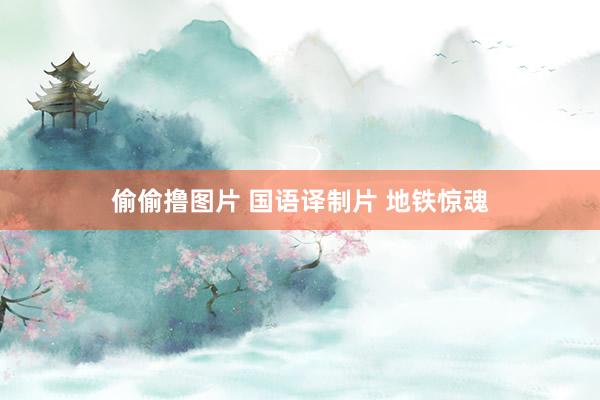 偷偷撸图片 国语译制片 地铁惊魂